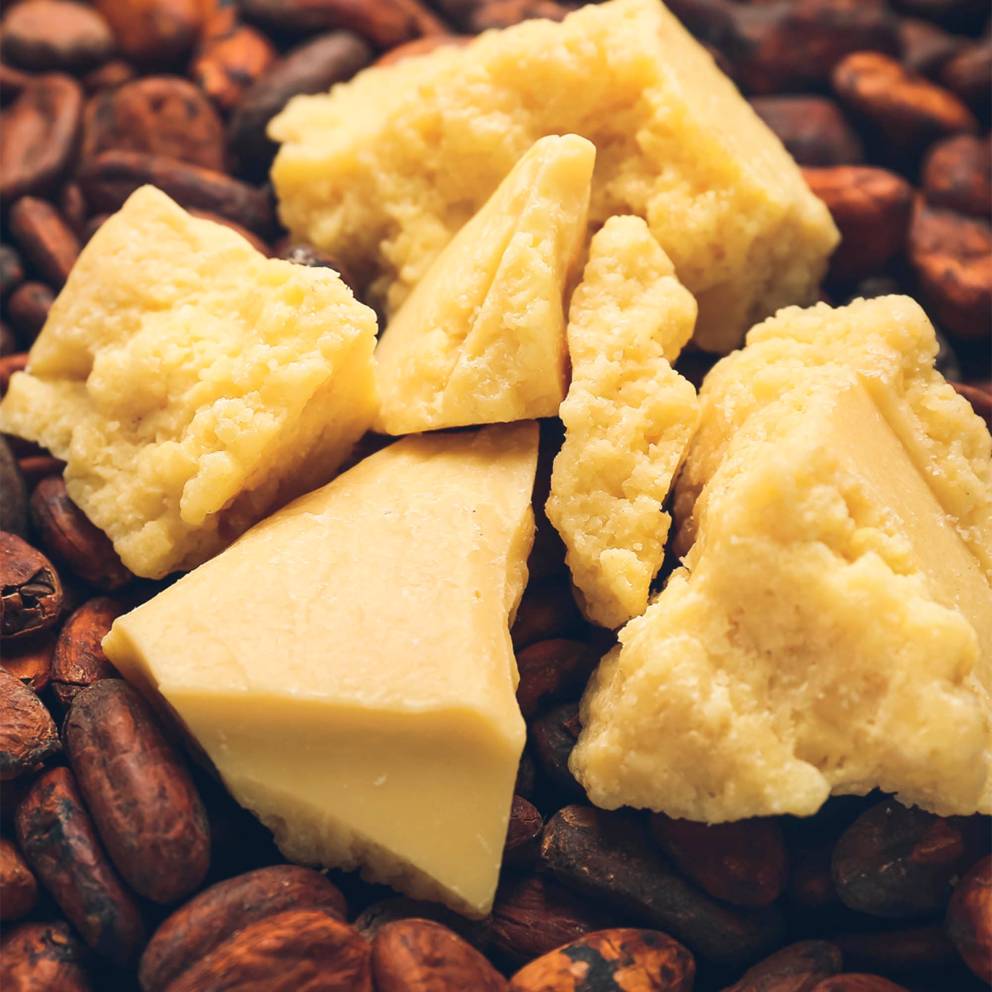Pure ceremonial cacao butter on top of cacao beans
